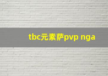 tbc元素萨pvp nga